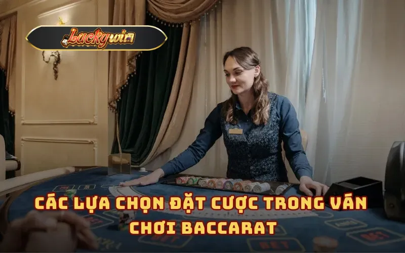 Các lựa chọn đặt cược trong ván chơi Baccarat