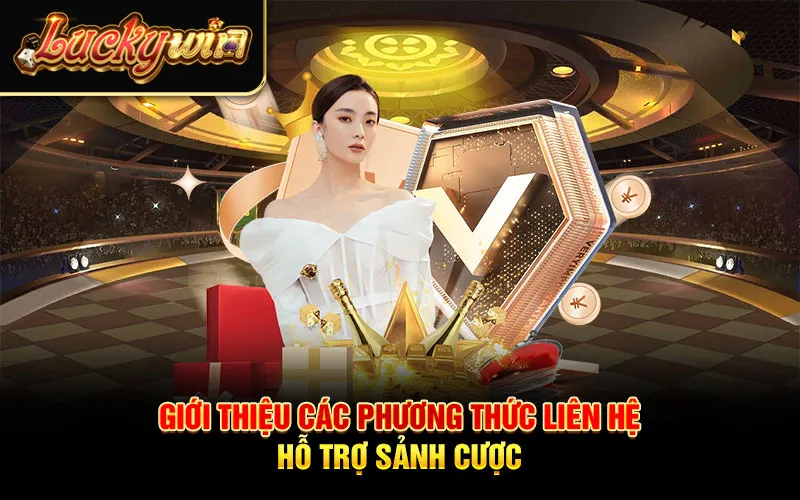 Giới thiệu các phương thức liên hệ hỗ trợ sảnh cược