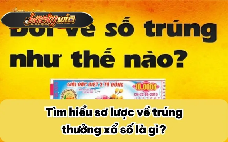 Tìm hiểu sơ lược về trúng thưởng xổ số là gì?